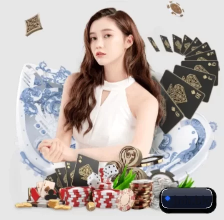 金年会 APP